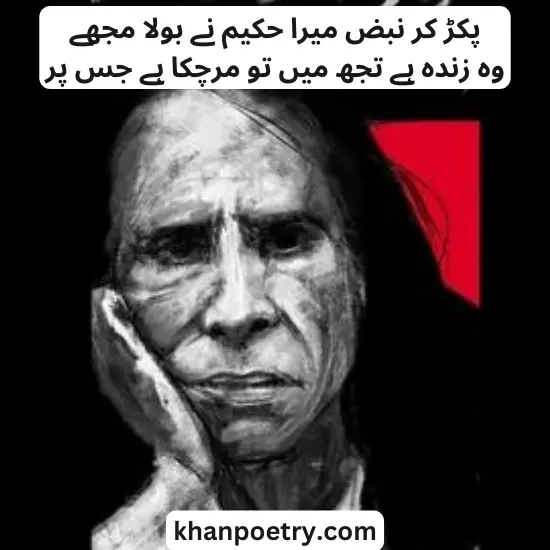 john elia poetry in urdu copy paste