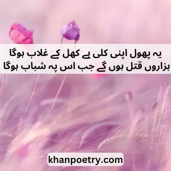 phool poetry in urdu text