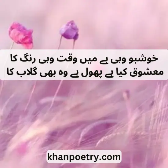 romantic phool poetry in urdu