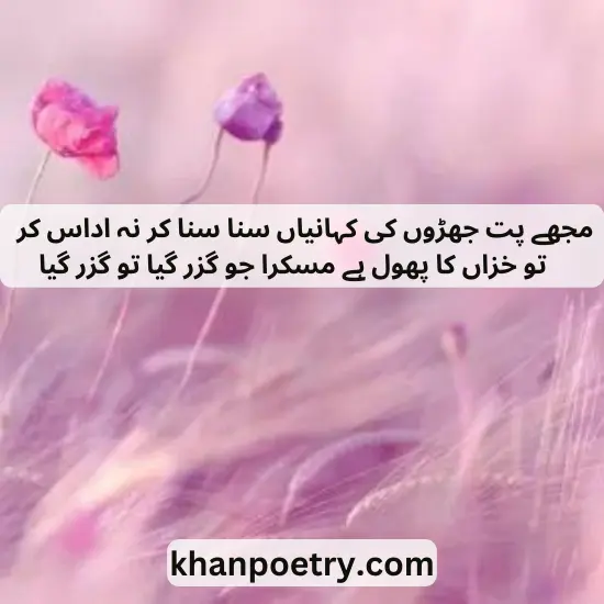 phool poetry in urdu pic