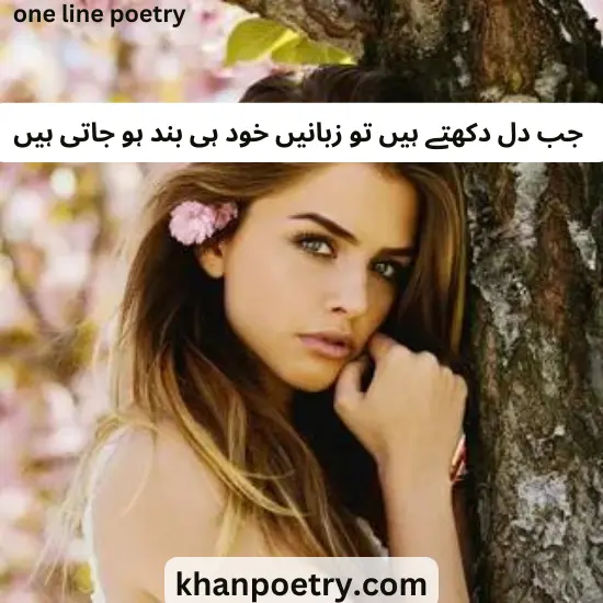 one line poetry in urdu