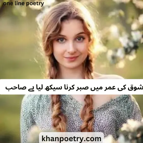 one line poetry in urdu text