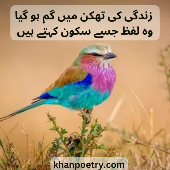 Best sakoon poetry in urdu