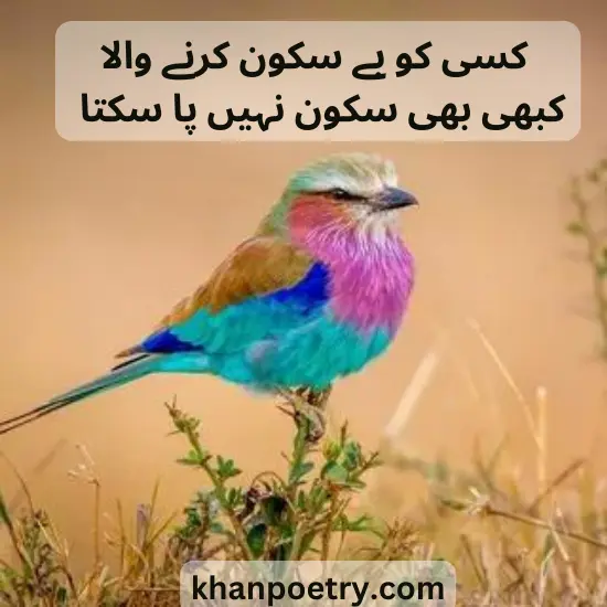 sukoon poetry in urdu