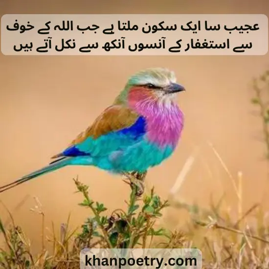 sakoon poetry in urdu text