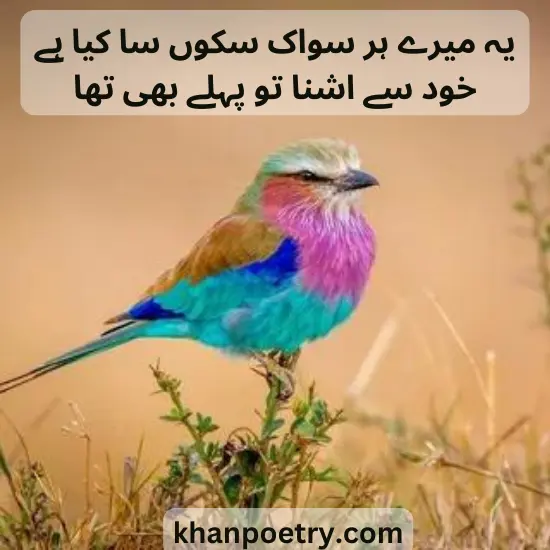 zehni o sukoon poetry in urdu