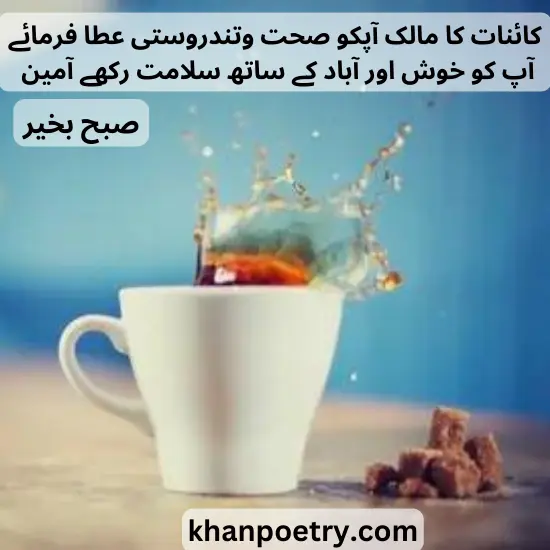 beautiful good morning quotes in urdu